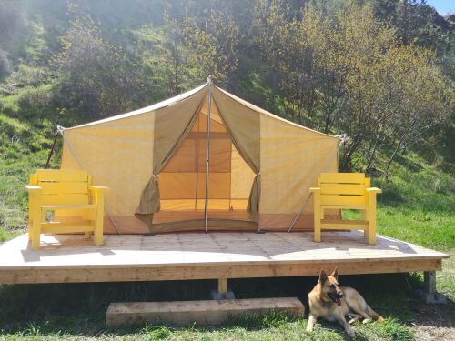 Tent-Basic-Shared Bathroom-Countryside view-YELLOW GLAM CAMPING - Base Rate