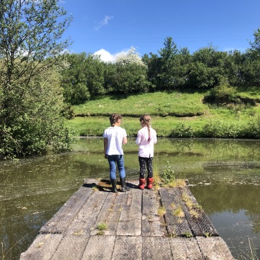 Wild swimming, pooh sticks, paddleboarding or just spotting fish. Enjoy our natural lake at West Ford.