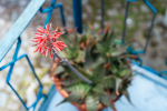 Detalhes