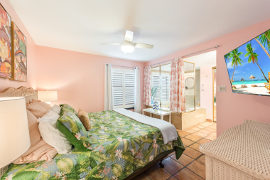 Primary bedroom with open bathroom (curtain for privacy)