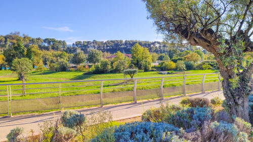 Le parc du bocage :  12 hectares de nature attenant à la propriété.