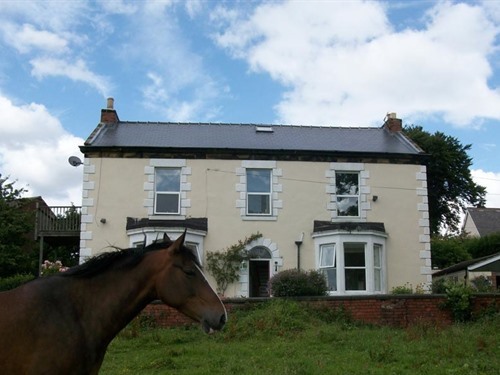 Front of house overlooking 3 acre field with horses.