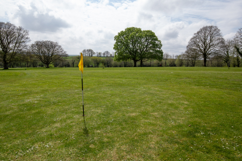 Pitch and Putt on site