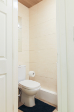 Downstairs bathroom with shower
