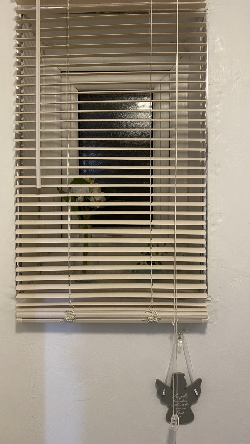 Activities & Experiences