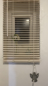 Activities & Experiences