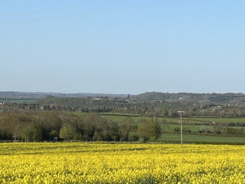 View from back garden