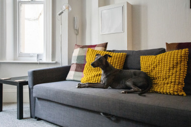 We are pet friendly! Bring all your family for vacation