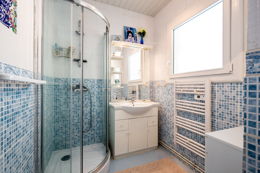 salle d'eau douche et meuble vasque