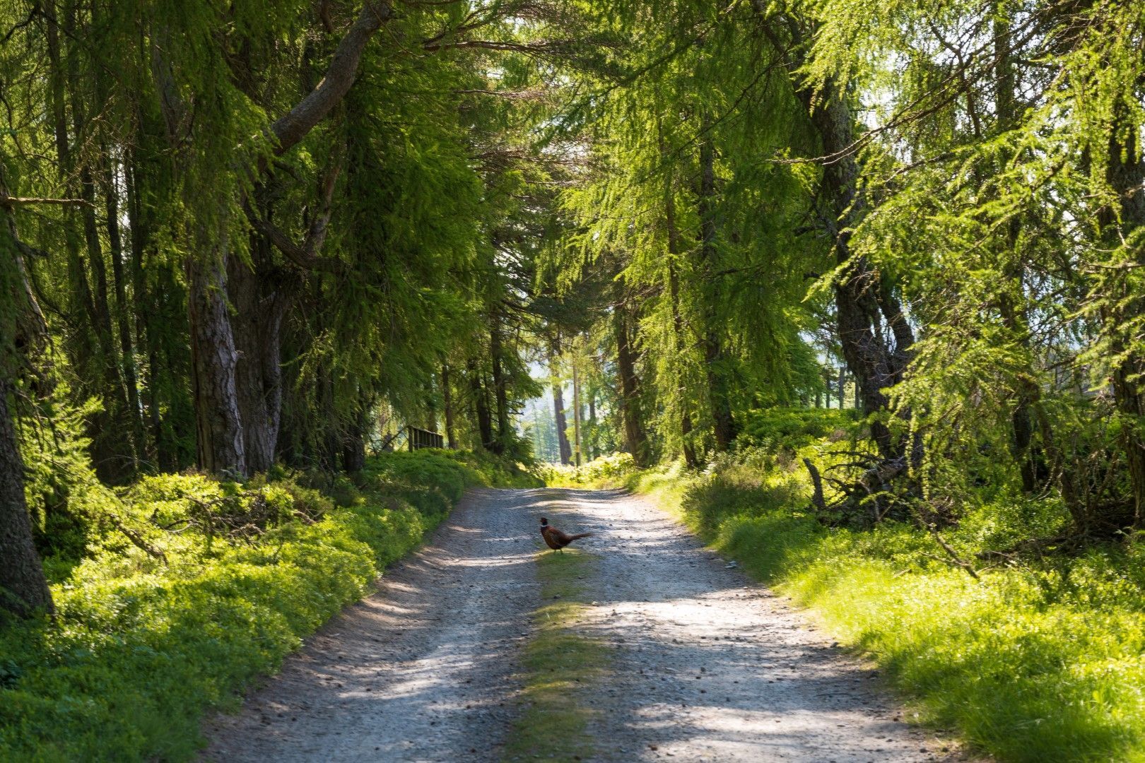 Luxury spacious living space
