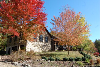 Harvest Moon Cottages - Harvest Moon Lodge - 