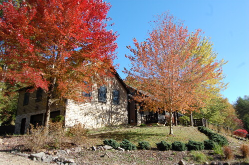 The Lodge