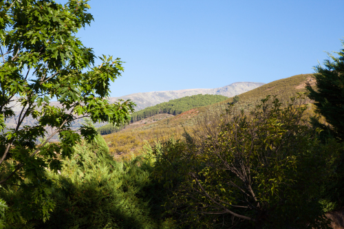 The mountains