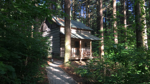 Green Log Cabin