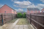 Back Garden
