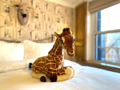 Room 5 Villiers