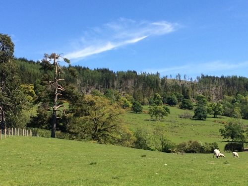 Leny View