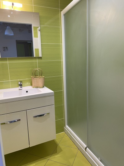 salle de bains verte - grande douche à l'italienne