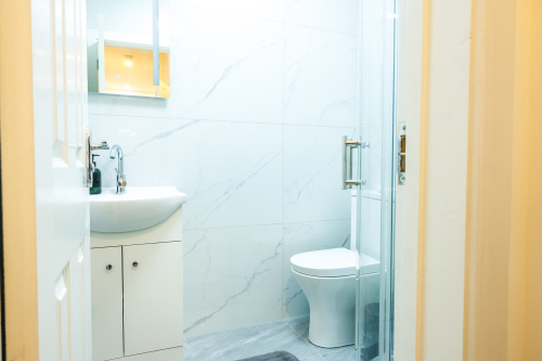 Downstairs toilet and shower