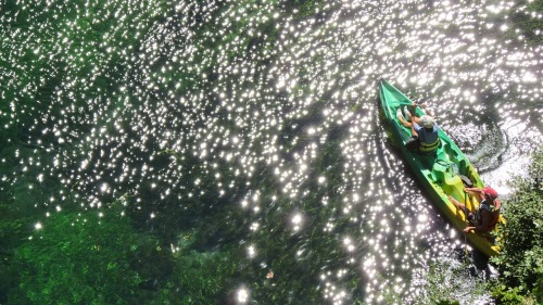 Canoë sur la Sorgue