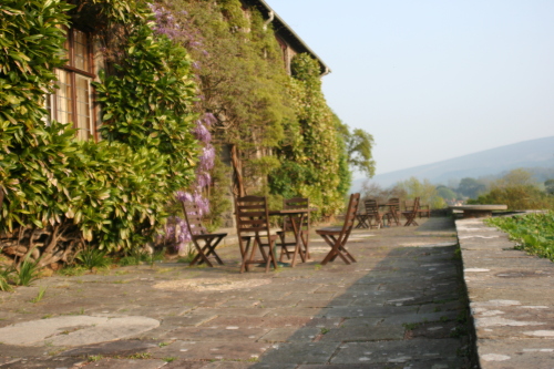 Terrace with tables and chairs, wisteria flowering on house