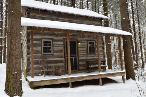 Green Log Cabin open all year