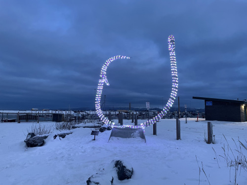 Homer Spit Christmas 