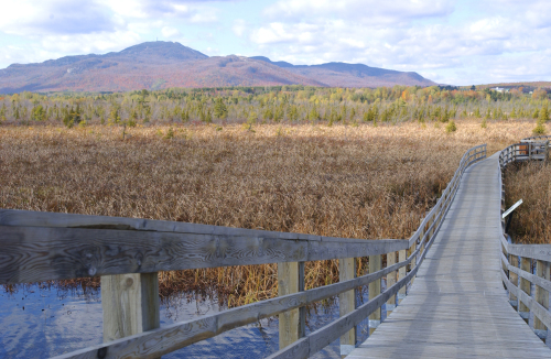 Viue de la rivières aux cerises et Mont Orford