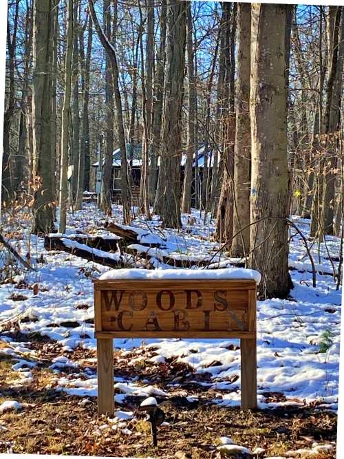 Woods Cabin