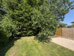 Back Garden
