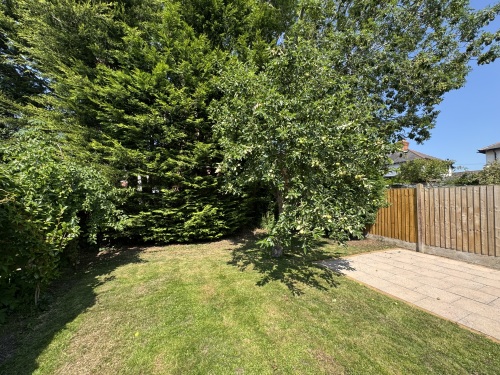 Back Garden