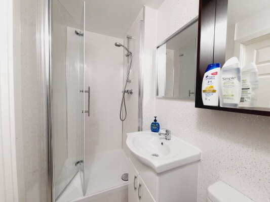 Bathroom shower 3