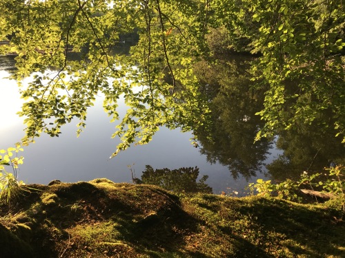 Wunderschöner Südharz - am Priorteich