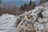 Air du Vercors