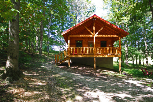 Parking area and Front of Cabin (from east)