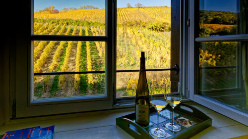 Du salon, belle vue sur le vignoble Alsace grand cru Schoenenbourg.