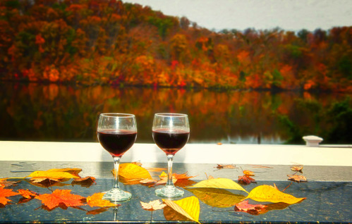 Enjoy a glass of wine on the deck