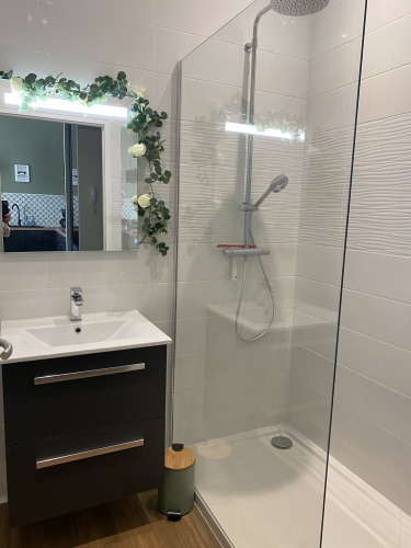 grande douche et vasque