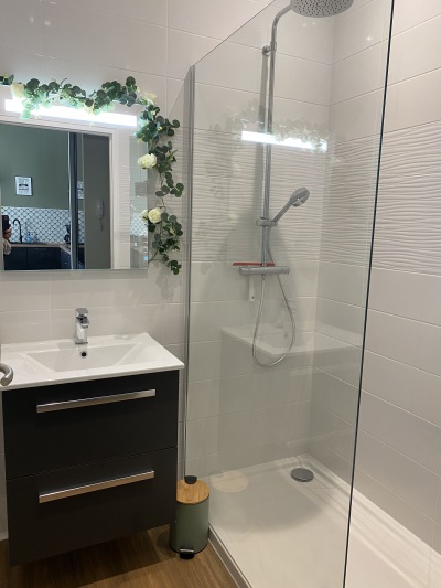 grande douche et vasque