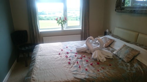'Love Swans' in King en-suite