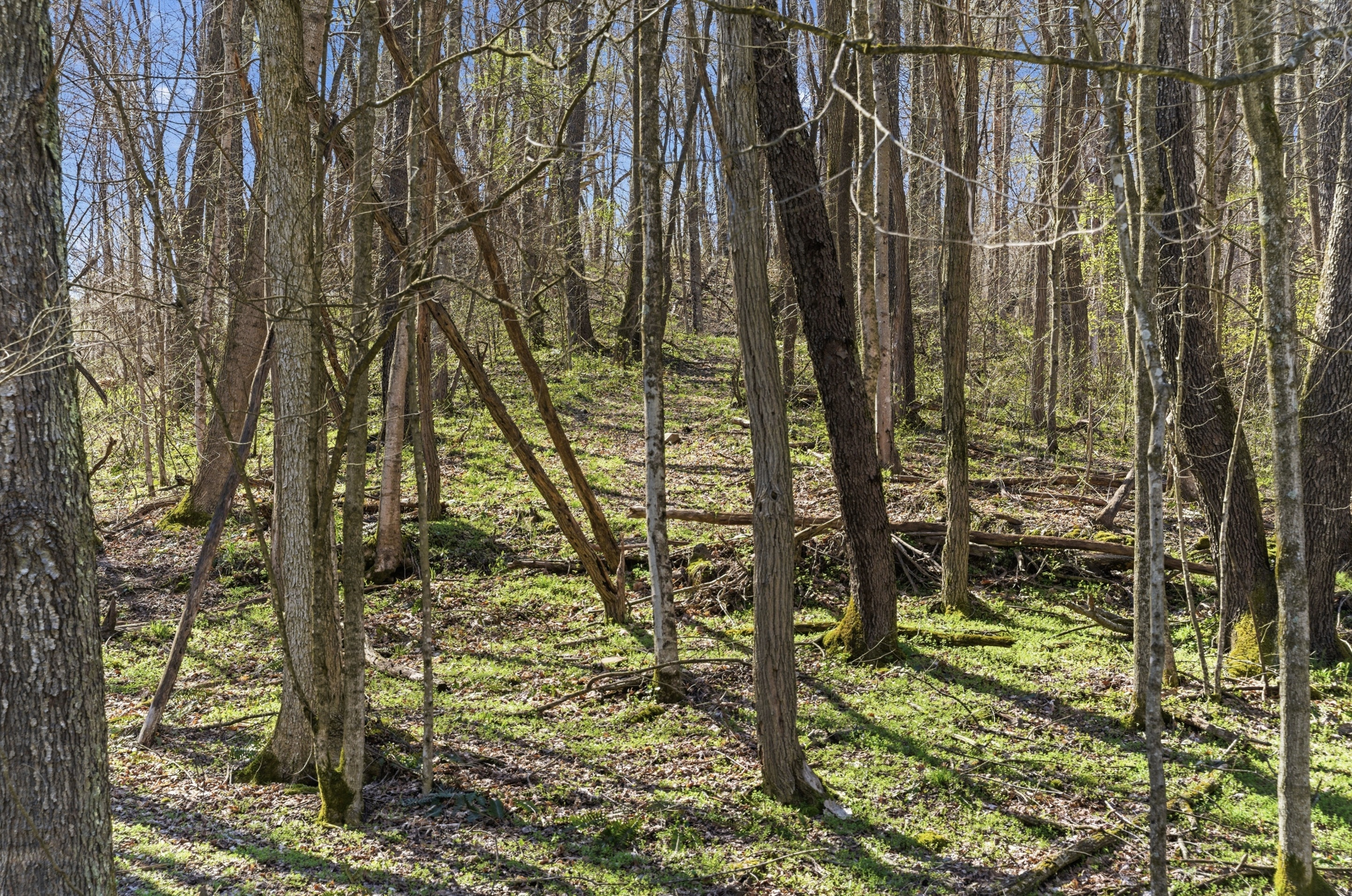 Abode at Blue Creek | Photo 46