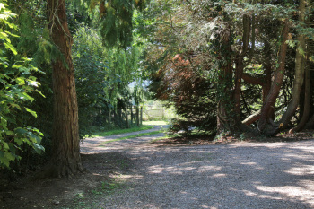 Back Garden - Driveway