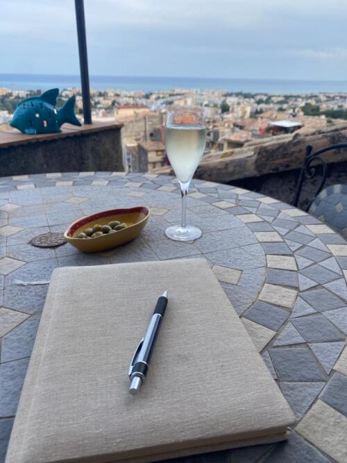 LIVRE D'OR ET LA TERRASSE