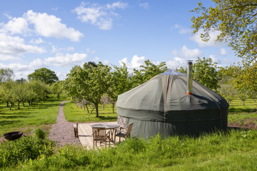 Exterior of Cai Yurt in the middle of the orchard
