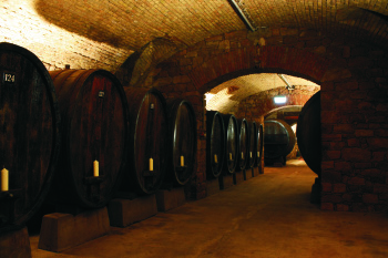 Keller im Weingut