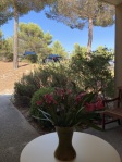 En flânant dans le Patio d'entrée