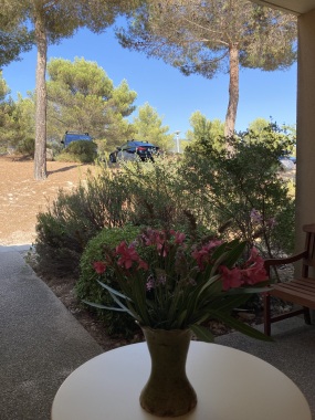 En flânant dans le Patio d'entrée