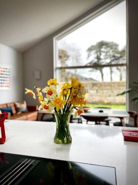 Kitchen Isl;and with Hob 