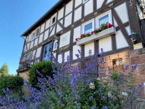 Ferienhaus