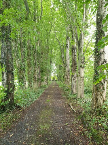 House-Traditional-Ensuite with Bath-Garden view - Base Rate